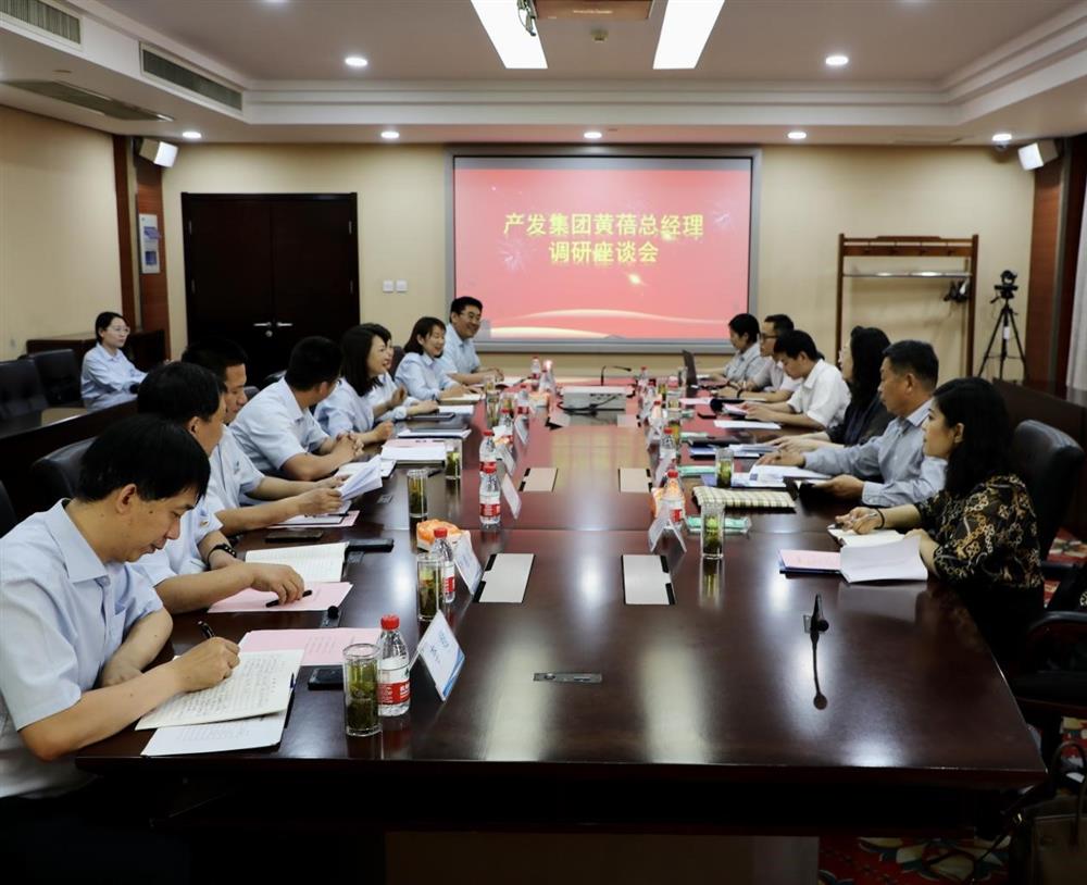 集團黨委副書記、總經(jīng)理黃蓓帶隊調(diào)研濟南市工程咨詢院